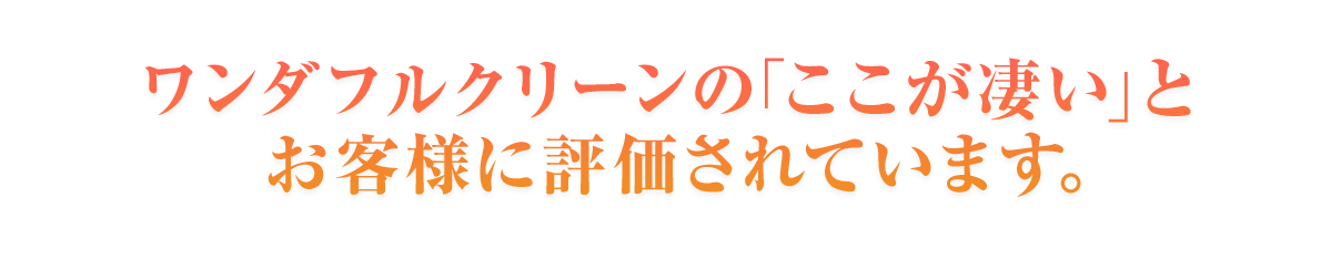 ワンダフルクリーンの「ここが凄い」とお客様に評価されています。